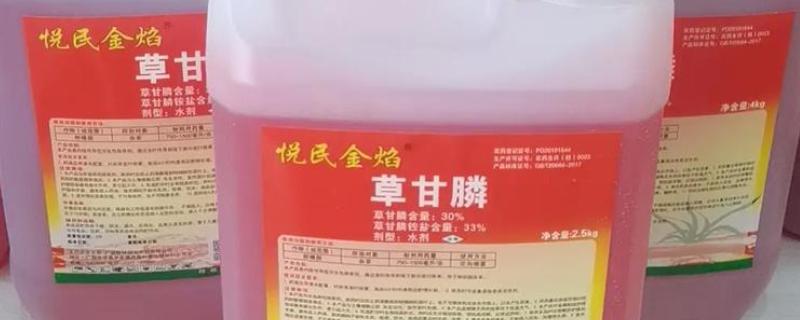 草甘膦在玉米苗前打药行吗，苗前可以用草甘膦