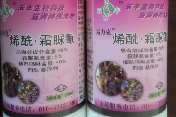 霜霉病用什么药,常用恶霉灵、氯溴异氰尿酸等