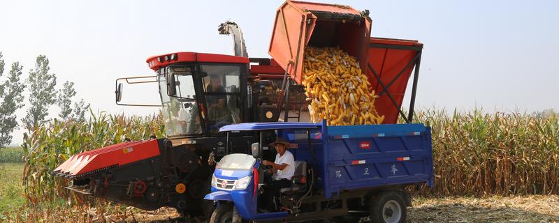 大型玉米收割机的常见问题，常见的有脱粒滚筒转动不稳定或异常