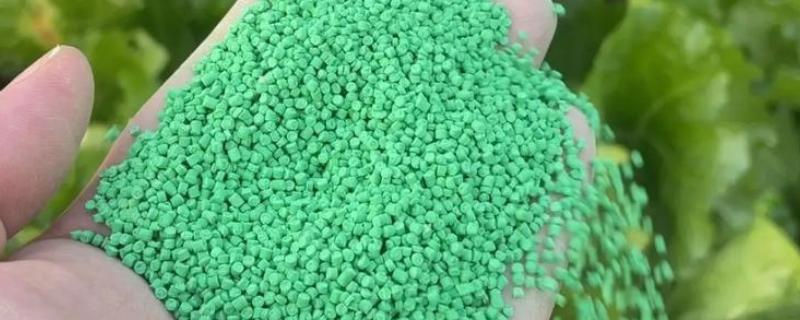 四聚乙醛的使用方法，选择在早晨或者傍晚时分喷洒