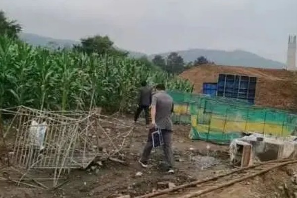 野猪晚上害怕什么，对老虎、熊等猛兽感到害怕