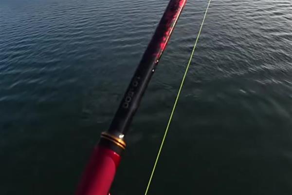 钓鲢鱼用什么鱼竿，推荐海竿、矶钓竿等