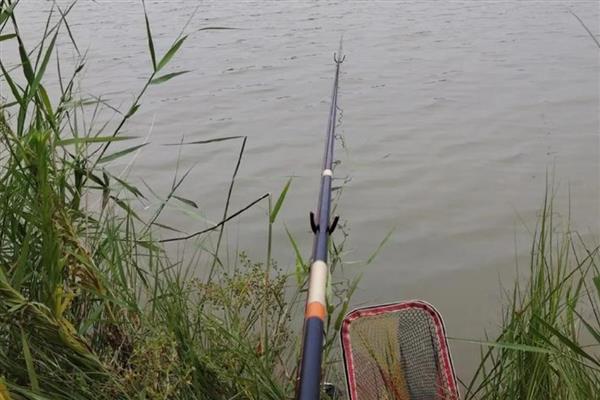 冬季阴天适合钓深吗,鱼儿会在深水区聚集