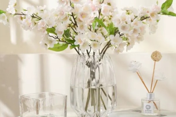 樱花枝条水培能不能存活，水培期间不会死亡