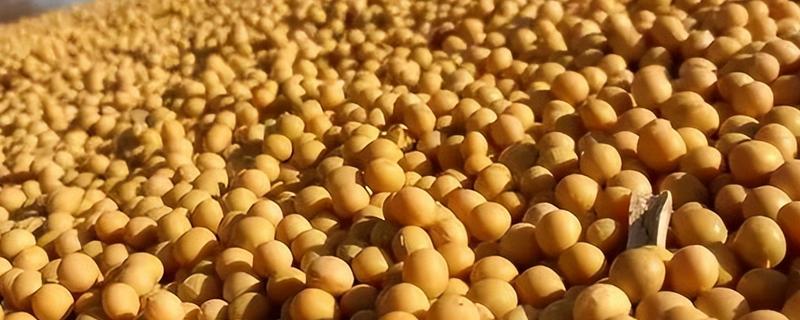 中国大豆进口的主要国家，有巴西、美国、阿根廷等