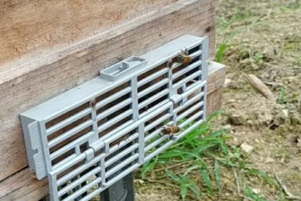 防逃片何时使用,饲养新收蜂群、迁飞蜂群、分蜂蜂群都要安装