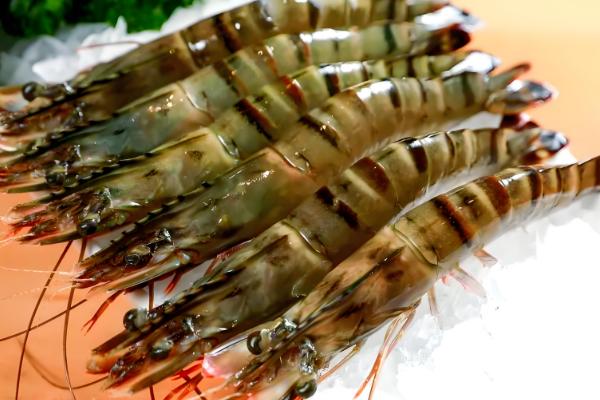 养殖虾和海虾的区别，虾壳、颜色、价格等方面都不同