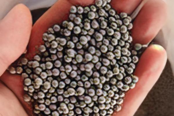 硅肥不能和什么同时用，不可跟碳酸氢铵混用