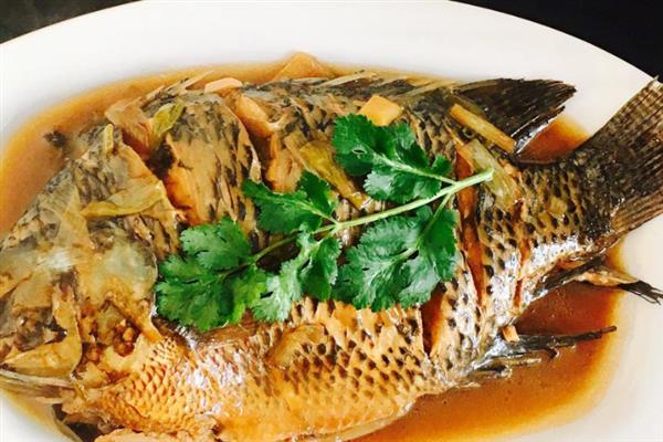 罗非鱼好吃还是鲫鱼好吃，鲫鱼的口感更佳一般更受欢迎