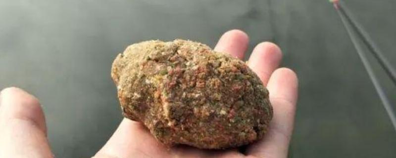 野钓鲫鱼如何打窝，将酒米作为窝料效果较好