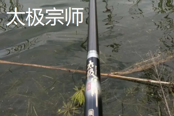 休闲野钓鱼竿推荐,推荐汉鼎一号四代、赤刃四代等