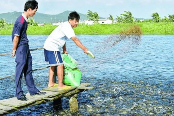 软骨鲫鱼的原产地,各大淡水水域均有分布