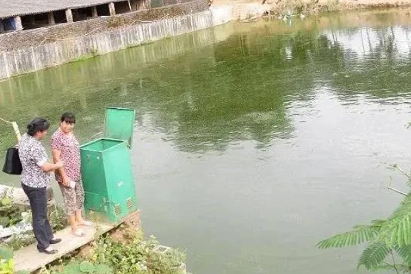 软骨鲫鱼的原产地,各大淡水水域均有分布