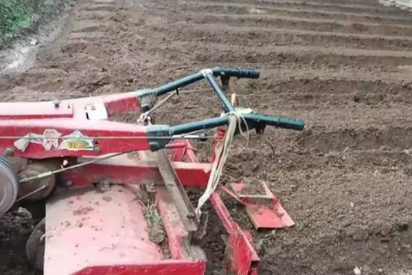 地膜花生如何种，盖膜前要施好底肥