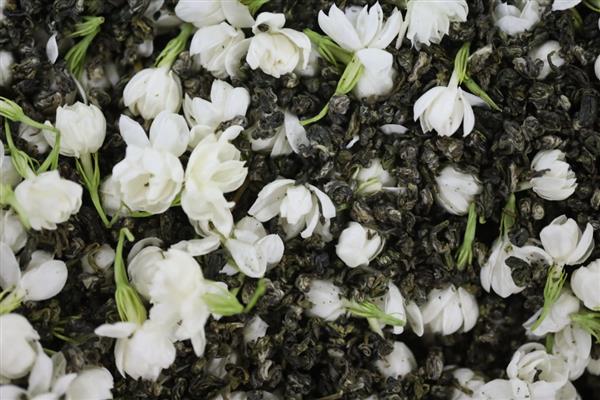 茉莉花茶是哪种茶，是花茶中的一类品种