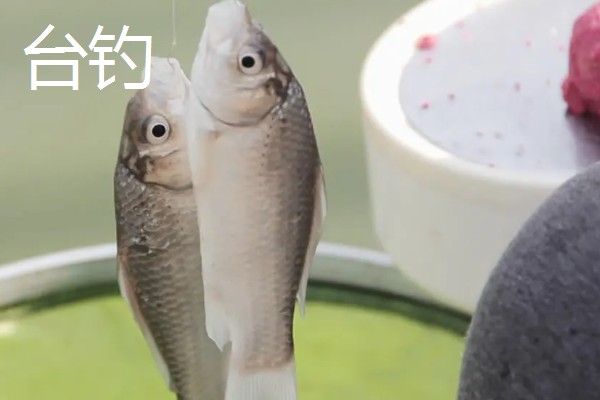 传统钓和台钓的意思,传统钓是除了台钓以外所有的老式钓法