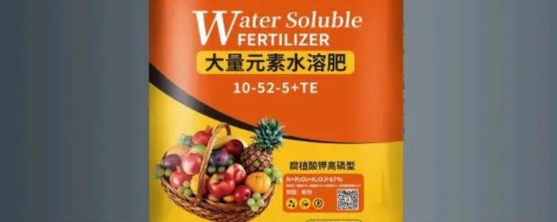 水溶肥的特点，通常都是与灌水相结合