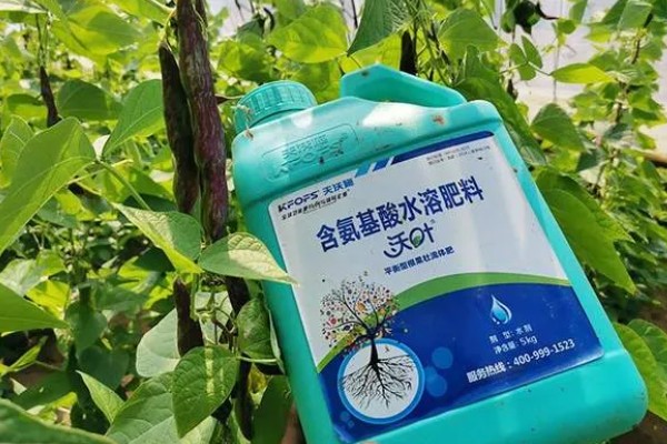 水溶肥的特点，通常都是与灌水相结合