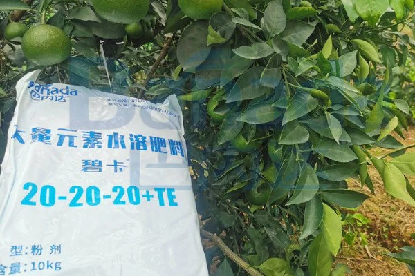 水溶肥的特点，通常都是与灌水相结合