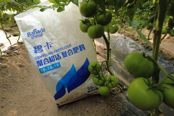 水溶肥的特点，通常都是与灌水相结合