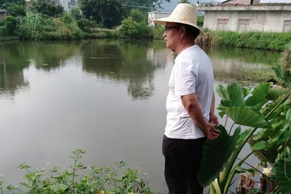 河蟹的养殖方法，蟹种要挑选优质品种的蟹