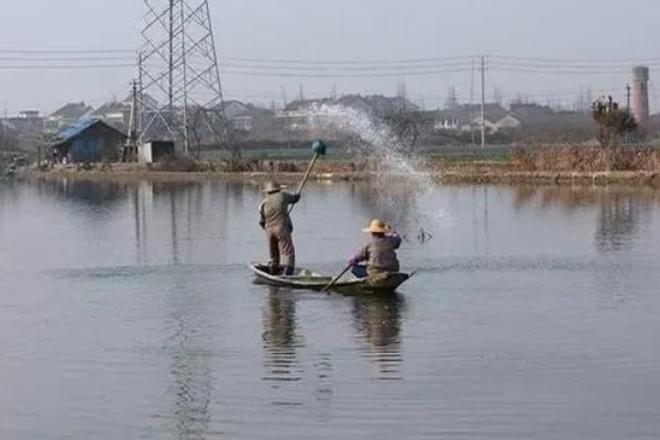 河蟹的养殖方法，蟹种要挑选优质品种的蟹