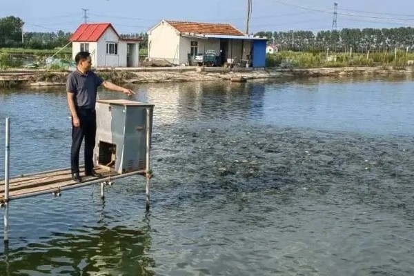 河蟹的养殖方法，蟹种要挑选优质品种的蟹