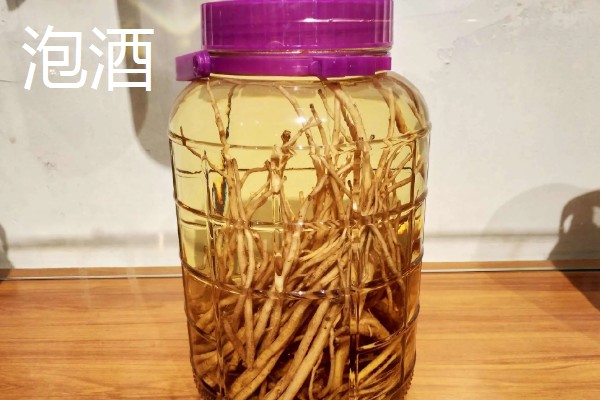 党参的食用方法，可煮粥也可煲汤