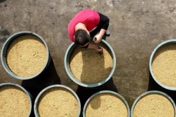 腐植酸肥料有什么作用,可以提高磷肥、钾肥的使用效果