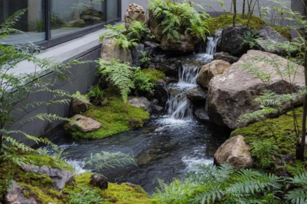露天鱼池里养什么水草，可以养金鱼草、水葫芦、浮萍等