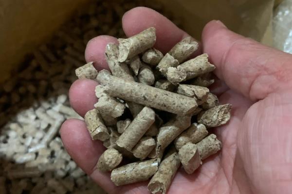 怎么挑选猫砂，植物砂、膨润土砂等种类适合使用