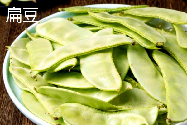 芸豆是四季豆吗，是同一种作物