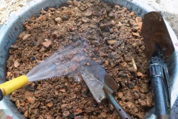 龙眼的播种方法,发芽期间把温度保持在20-30℃