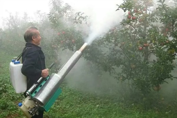 甲基托布津有什么作用，可以防治麦类黑穗病、菜豆灰霉病等病害