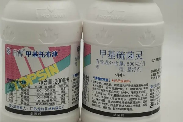 甲基托布津有什么作用，可以防治麦类黑穗病、菜豆灰霉病等病害
