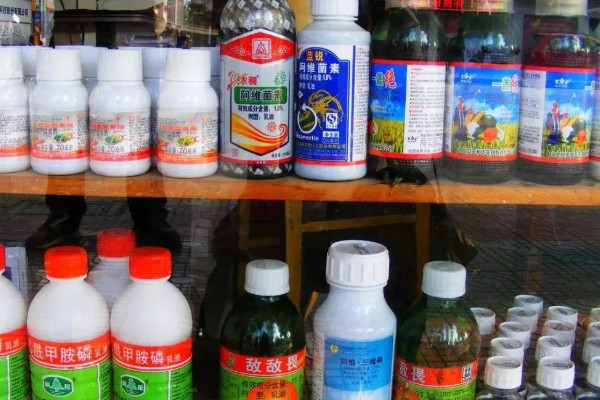 甲基托布津有什么作用，可以防治麦类黑穗病、菜豆灰霉病等病害
