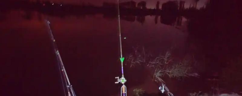 口碑最好的电子夜光漂，推荐一味极光、十年情等