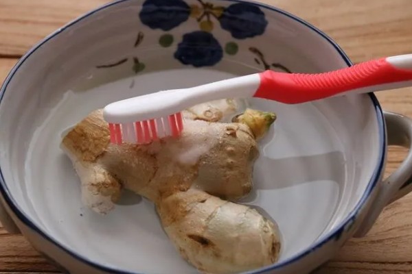 生姜怎么繁殖,可块茎繁殖、分株繁殖等