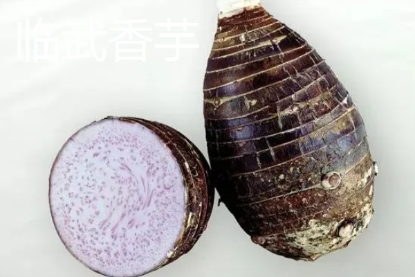 香芋的产地,主产于广西、湖南、福建等省份