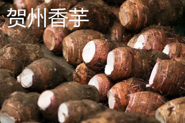 香芋的产地,主产于广西、湖南、福建等省份