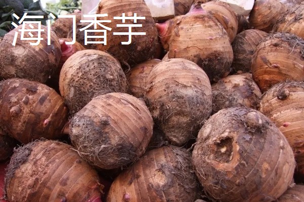 香芋的产地,主产于广西、湖南、福建等省份