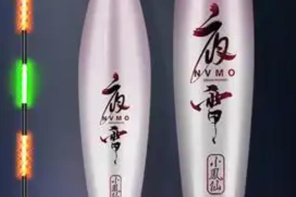 口碑最好的电子夜光漂,推荐一味极光、十年情等