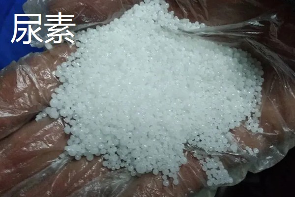 种菜用尿素肥还是复合肥,可以使用尿素肥也可以使用复合肥