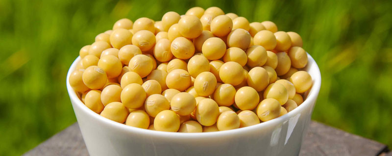 黔豆18（区试名称：黔豆2201）大豆种子简介，亩密度1.67-2.1万株