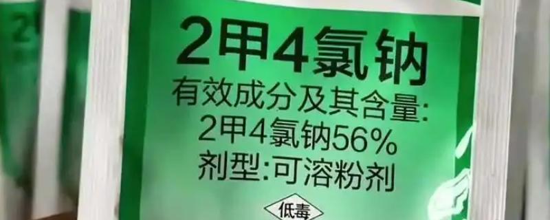 二甲四氯钠的防治对象，可防治稗草、眼子菜、牛毛草等一年生杂草