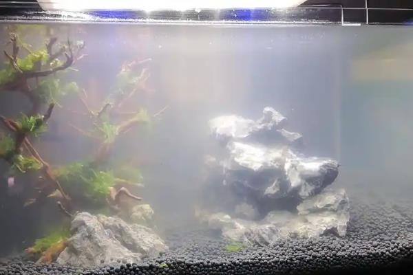 鱼缸里面放白沙水变白如何处理,需要清洗多次才能使用