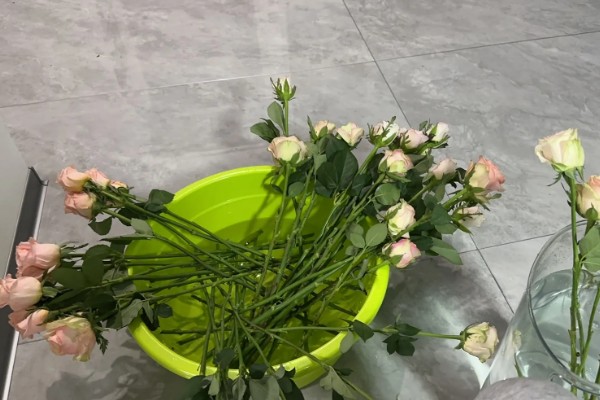 醒花的方法，用水浸泡2-4小时