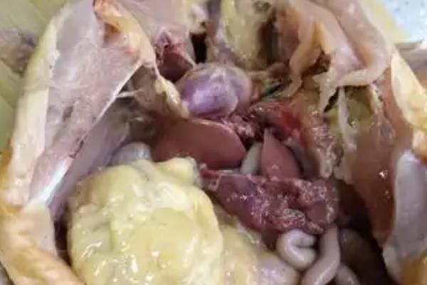 鸡下巴那块肉是什么,学名叫做肉裙或肉裾