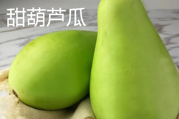 葫芦瓜怎么吃,可做包子馅或者炖汤等
