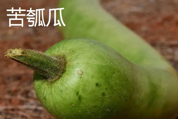 葫芦瓜怎么吃,可做包子馅或者炖汤等